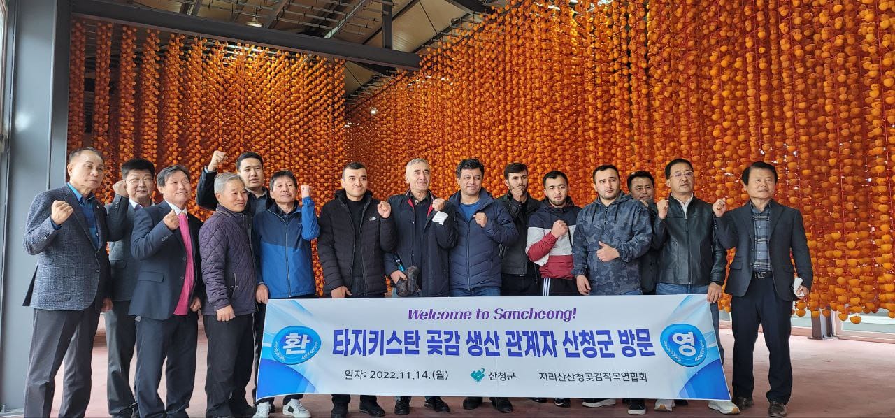 Ознакомительный тур в Южную Корею